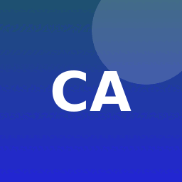 Checko API