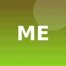 Major Express API
